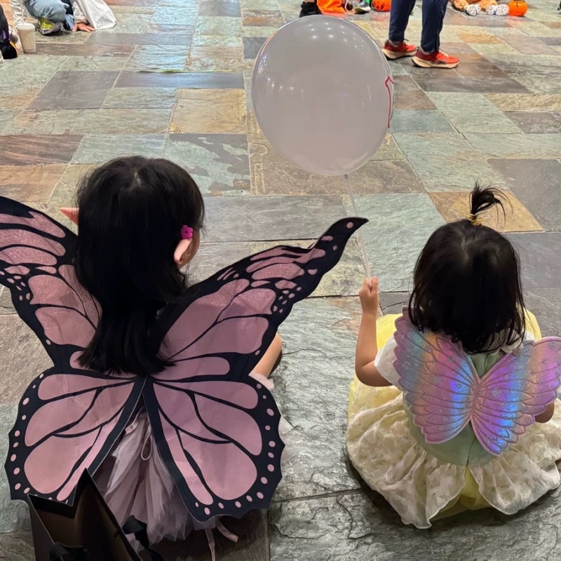 Cosplay Pink Butterfly Wings B - đánh giá và giá Baby Clothing Model